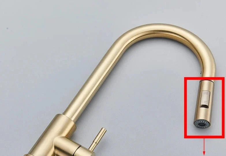 Torneira Gourmet Pata Cozinha Simple Gold