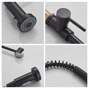 Torneira Gourmet para Cozinha Spiral Spring